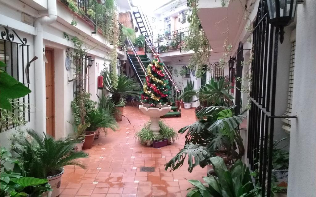 Hostal El Patio Alhaurín de la Torre Zimmer foto